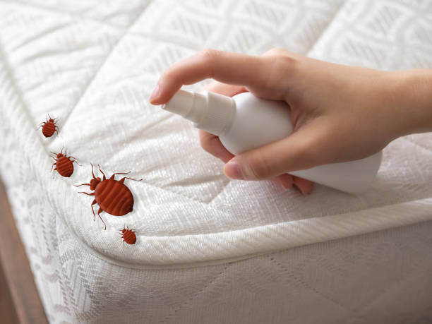 Best Pest Control Near Me  in Cranford, NJ