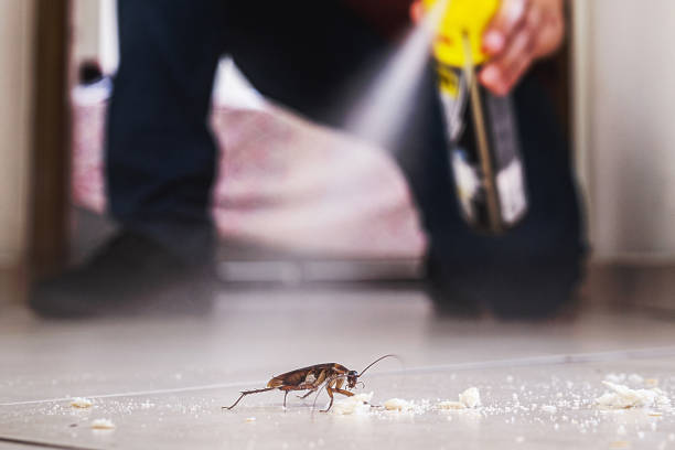 Best Affordable Pest Control Services  in Cranford, NJ