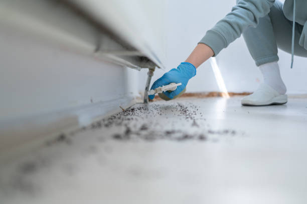 Best Commercial Pest Control Services  in Cranford, NJ